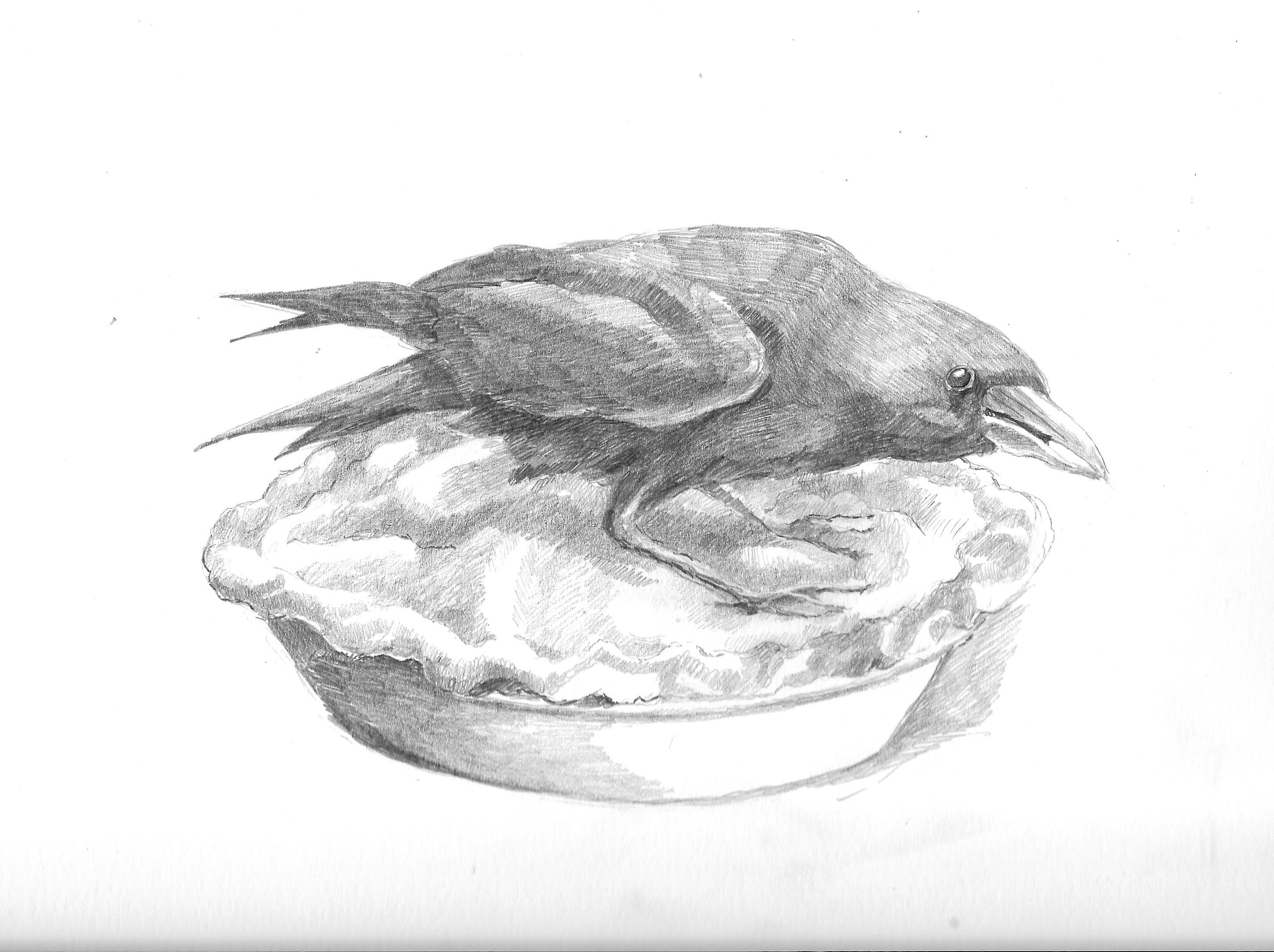 Crow on a pie