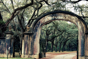 Wormsloe+Plantation